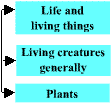 Level L: Life and living things