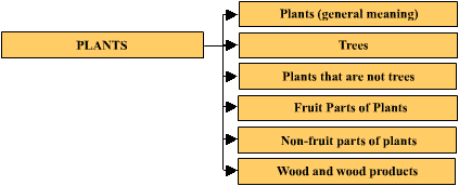 Level 3: Plants